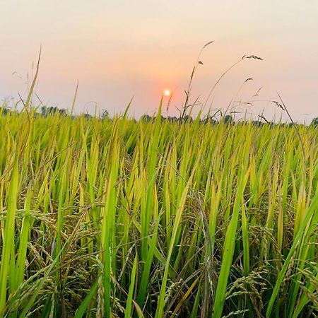 Lotus Retreat Ho Chi Minh Zewnętrze zdjęcie