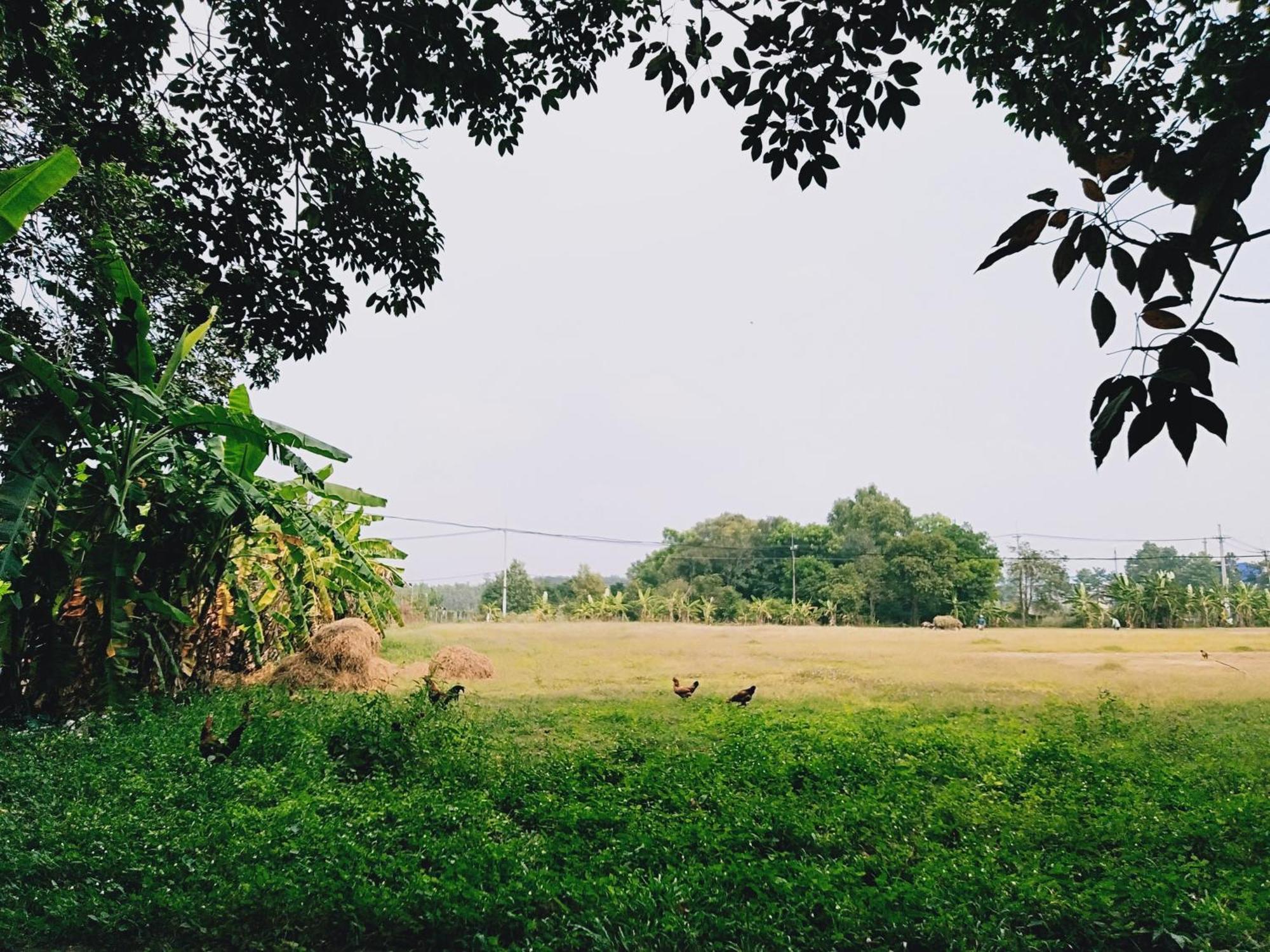 Lotus Retreat Ho Chi Minh Zewnętrze zdjęcie