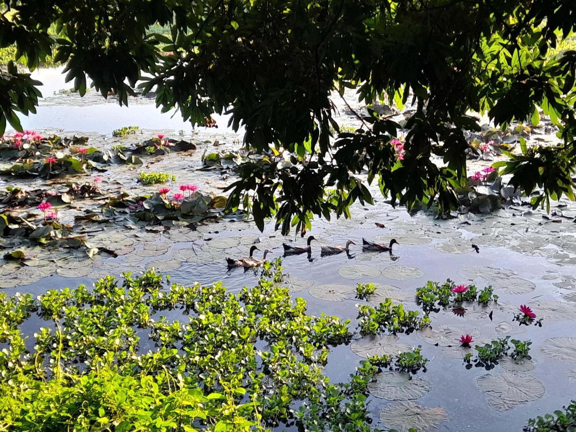 Lotus Retreat Ho Chi Minh Zewnętrze zdjęcie