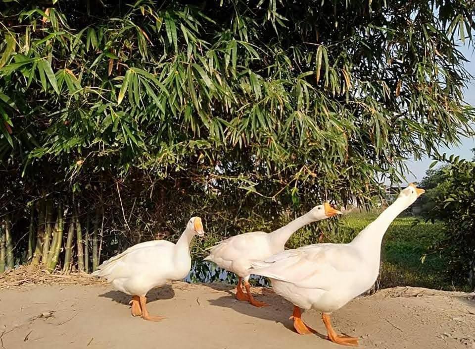 Lotus Retreat Ho Chi Minh Zewnętrze zdjęcie